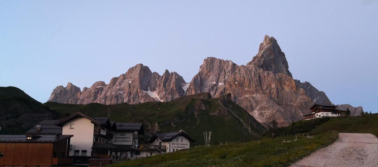 Hotel Alpenrose Passo Rolle Eksteriør bilde