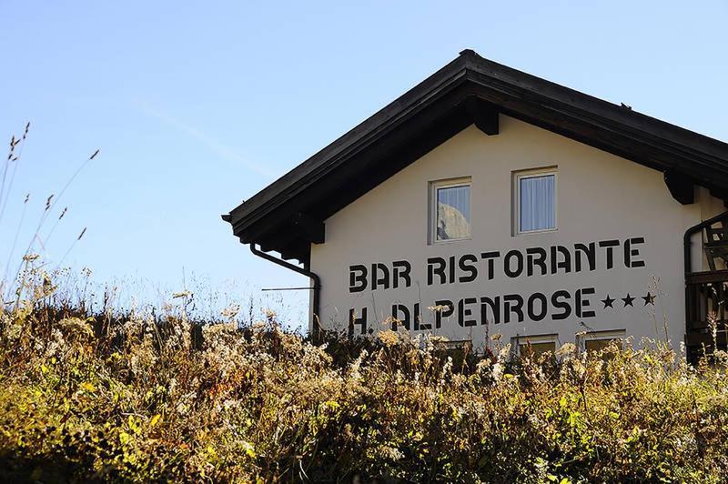 Hotel Alpenrose Passo Rolle Eksteriør bilde